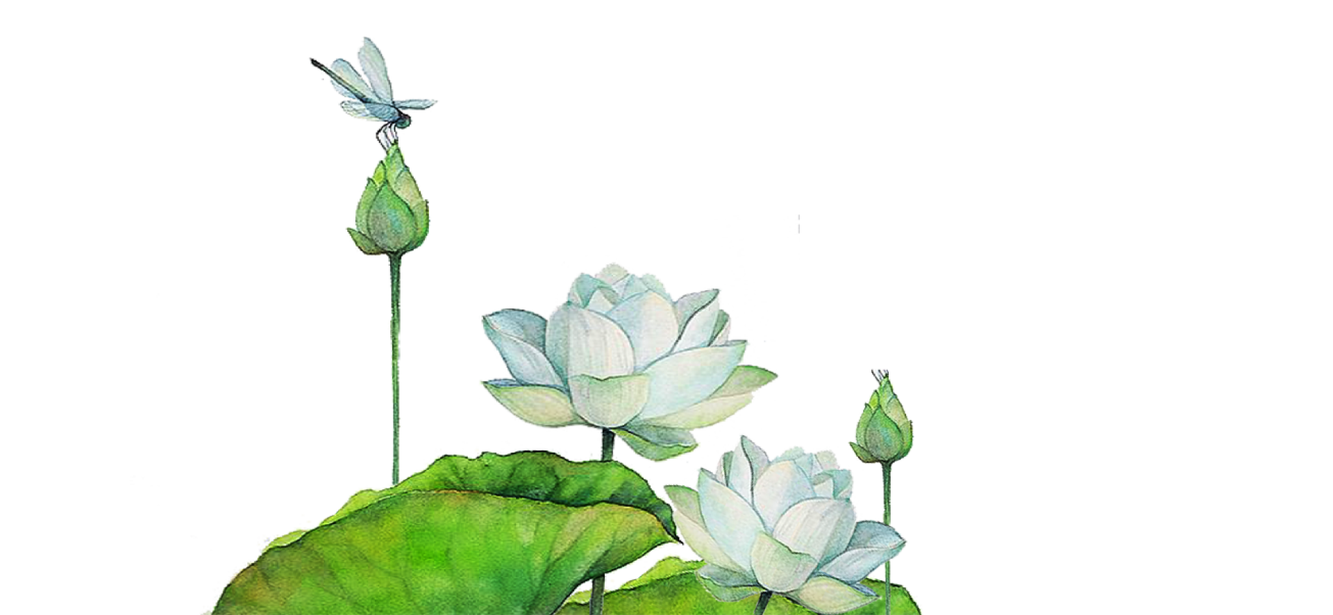 Yoga e Meditazione - Passi di Pace - Torino